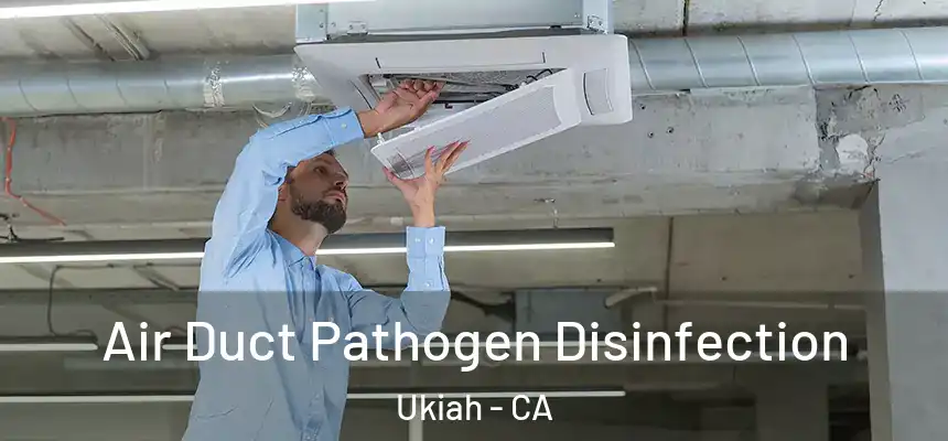  Air Duct Pathogen Disinfection Ukiah - CA