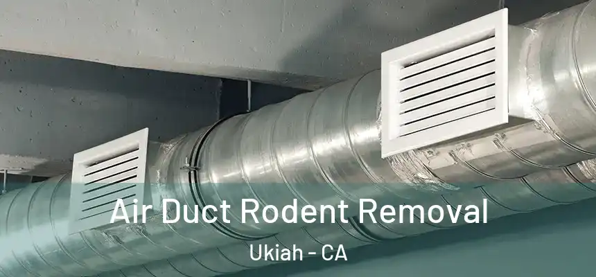  Air Duct Rodent Removal Ukiah - CA
