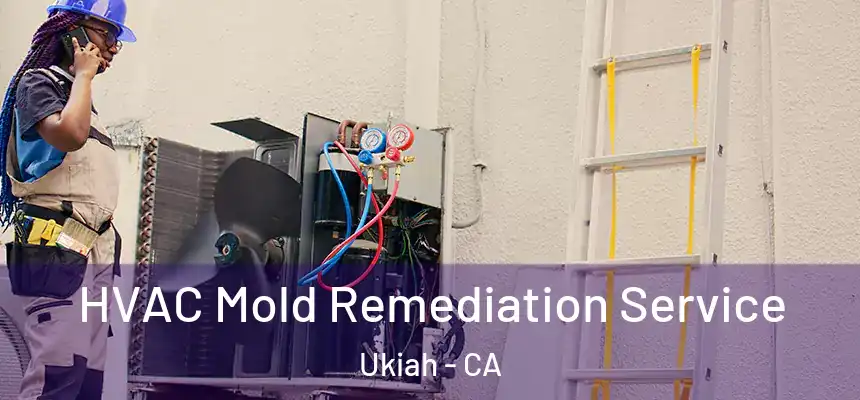  HVAC Mold Remediation Service Ukiah - CA