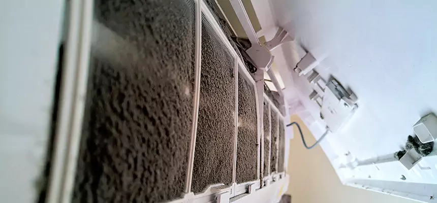 Preventive Air Duct Bacteria Removal in Ukiah