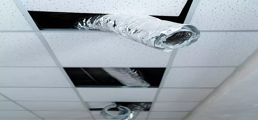 Affordable HVAC Sanitizing After Pest Removal in Ukiah