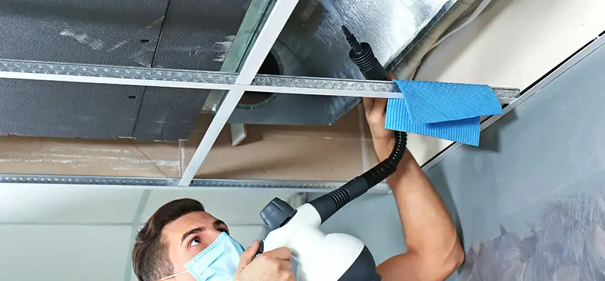 Our Air Duct Rodent Removal Services in Ukiah, CA