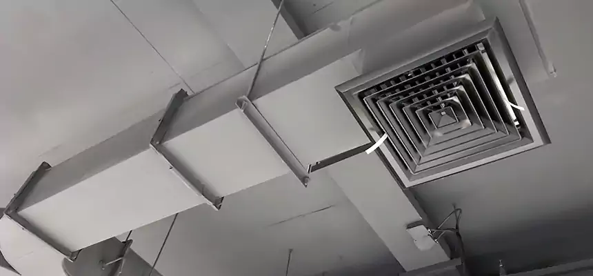 Restorative Allergy Relief Vent Cleaning – Coil, Blower & Housing Detail in Ukiah