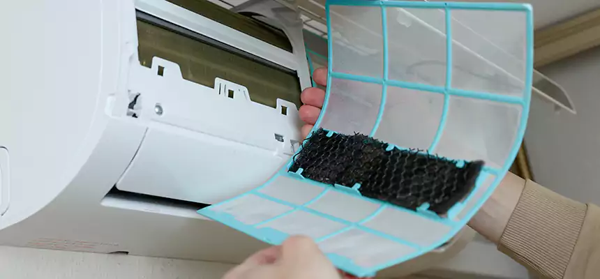 Gentle Ductwork Odor-Control Pet Dander Duct Cleaning in Ukiah, CA