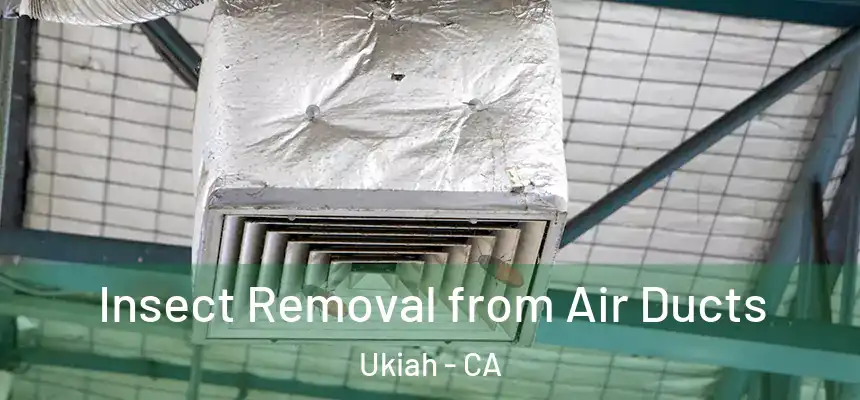  Insect Removal from Air Ducts Ukiah - CA
