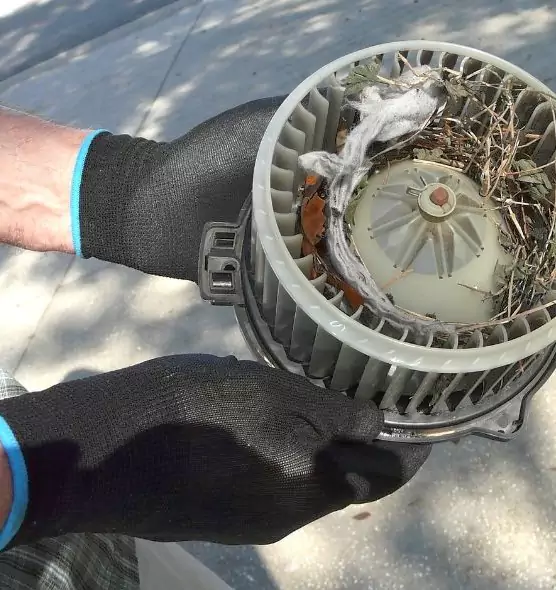 About Air Duct Mice Removal in Ukiah, CA