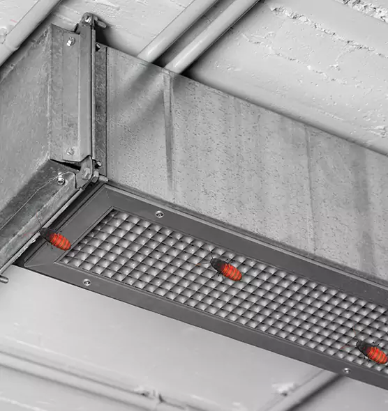 Affordable Insect Removal from Air Ducts in Ukiah, CA