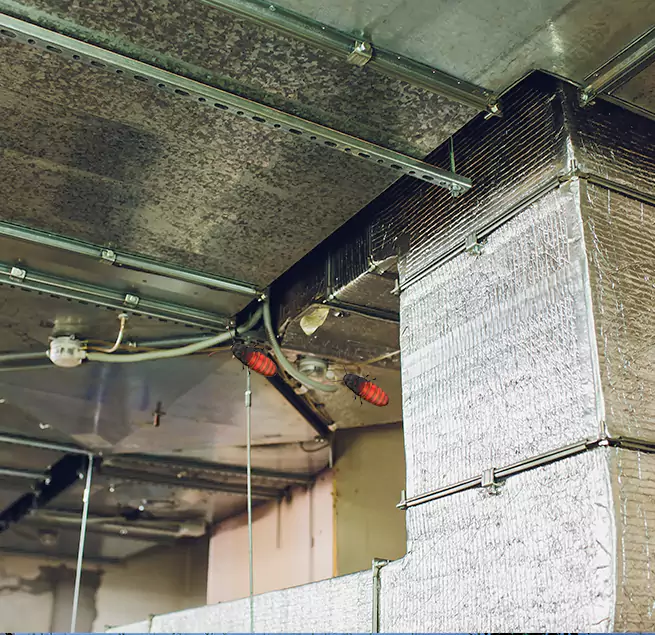 Why Homeowners & Businesses Trust Us in Ukiah, CA?