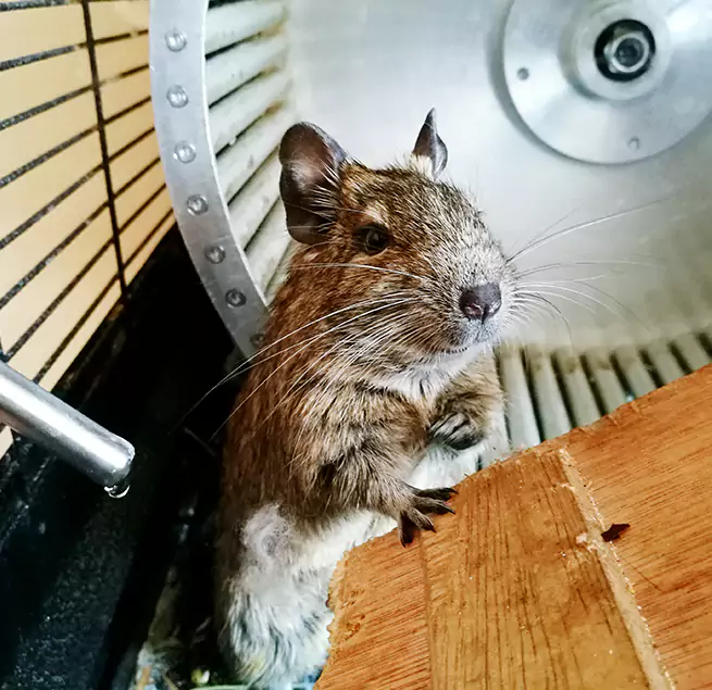 Why Homeowners & Businesses Trust Us Ukiah, CA?